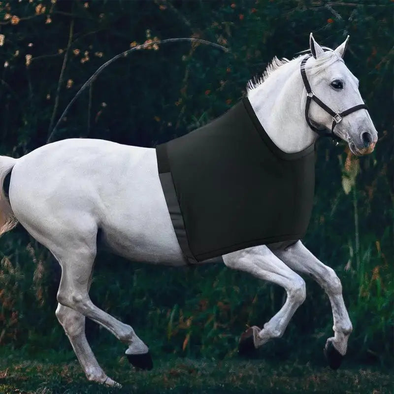 Horse Neck Cover Shoulder Pads Breathable Vests