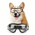 Dog Goggles Sunglasses Waterproof with Adjustable Strap - Clear