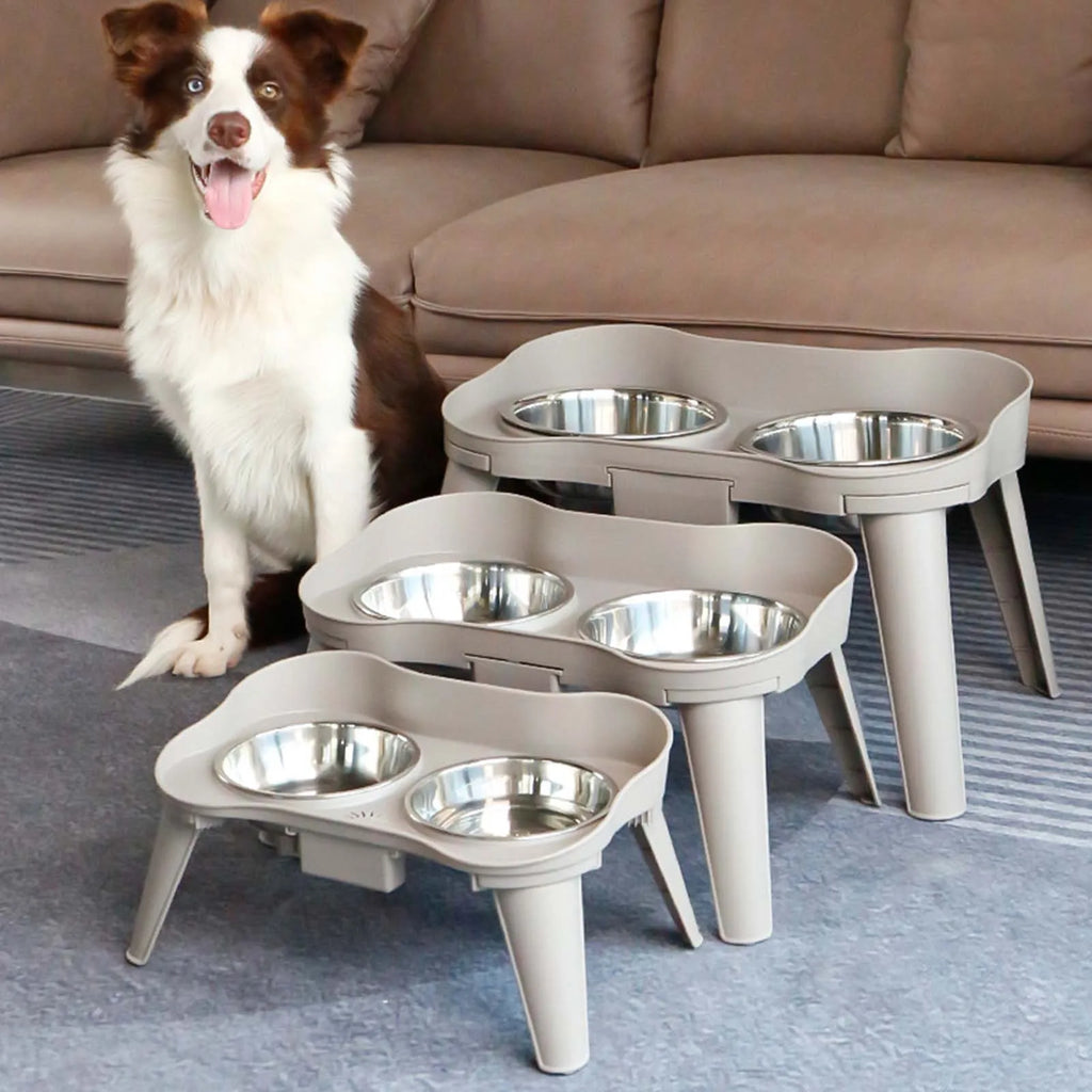 Raised Stand Elevated Non-Slip and No Spill Design Bowl