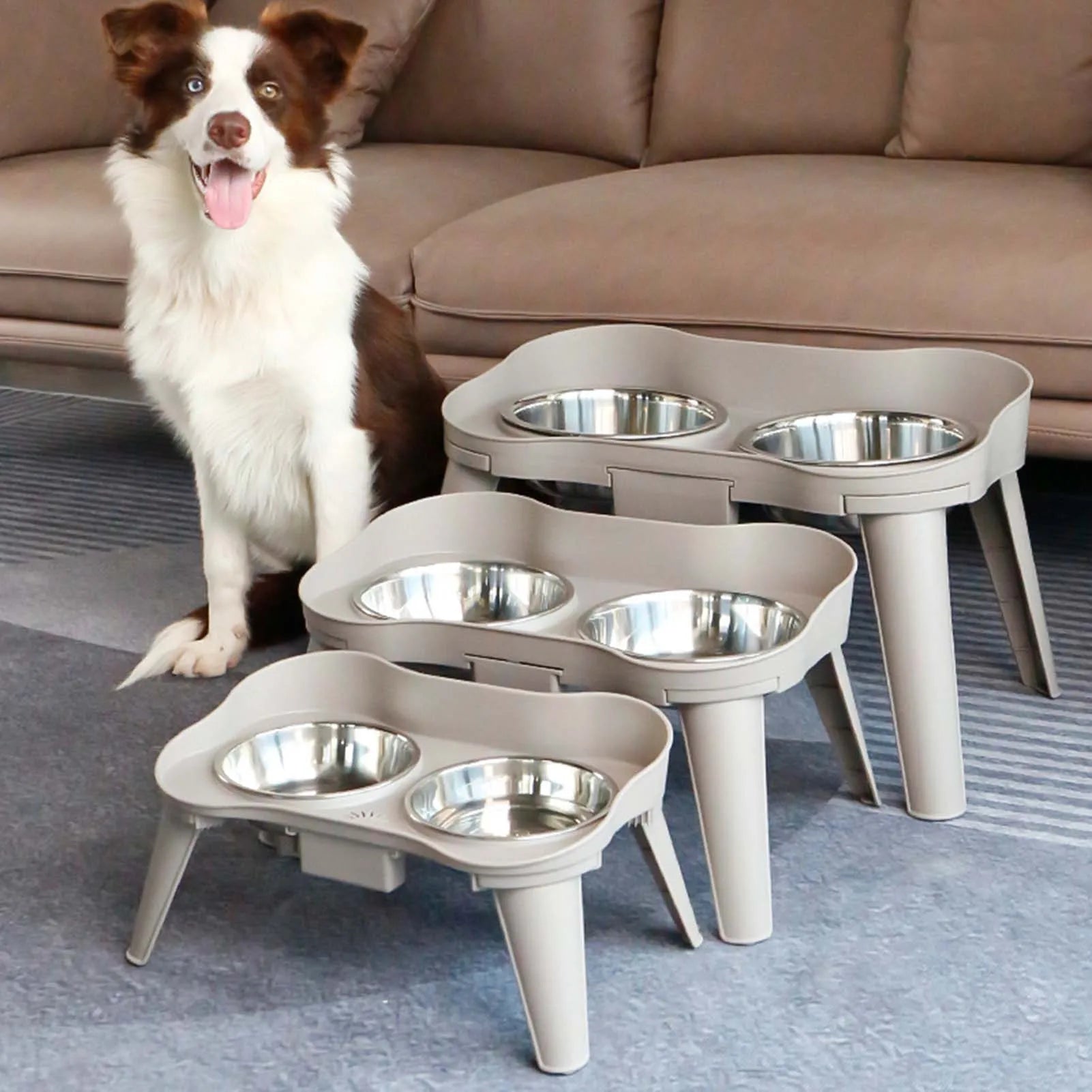 Raised Stand Elevated Non-Slip and No Spill Design Bowl